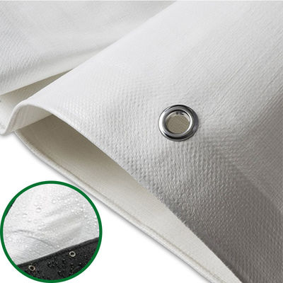 Bâches en polyéthylène légères 160 g/m² 240 g/m² Durables Imperméables Anti-UV Rouleau de bâches en PE Vert Double