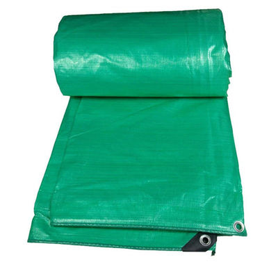 Bâche économique verte 5OZ 6OZ bleu-argent Bâche en PE Bâche en tissu imperméable Bâche en plastique