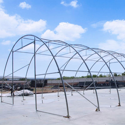 Litong Serres agricoles extérieures Plantes de jardinage Poly tunnel transparent entrepôt en PVC bâches
