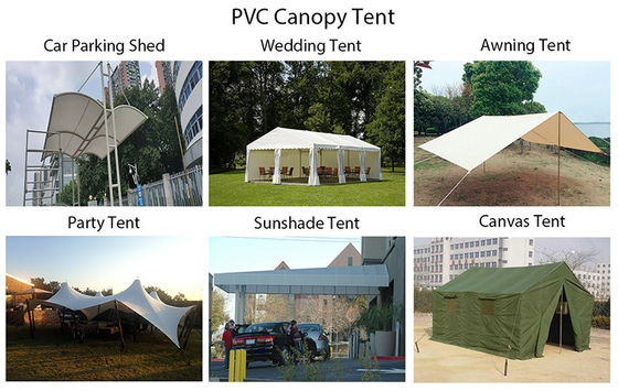 Litong Serres agricoles extérieures Plantes de jardinage Poly tunnel transparent entrepôt en PVC bâches
